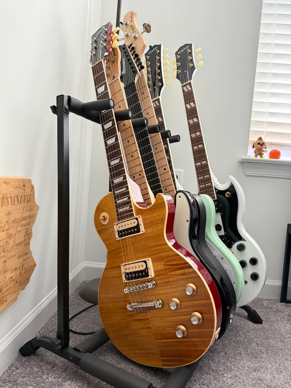 The Collection